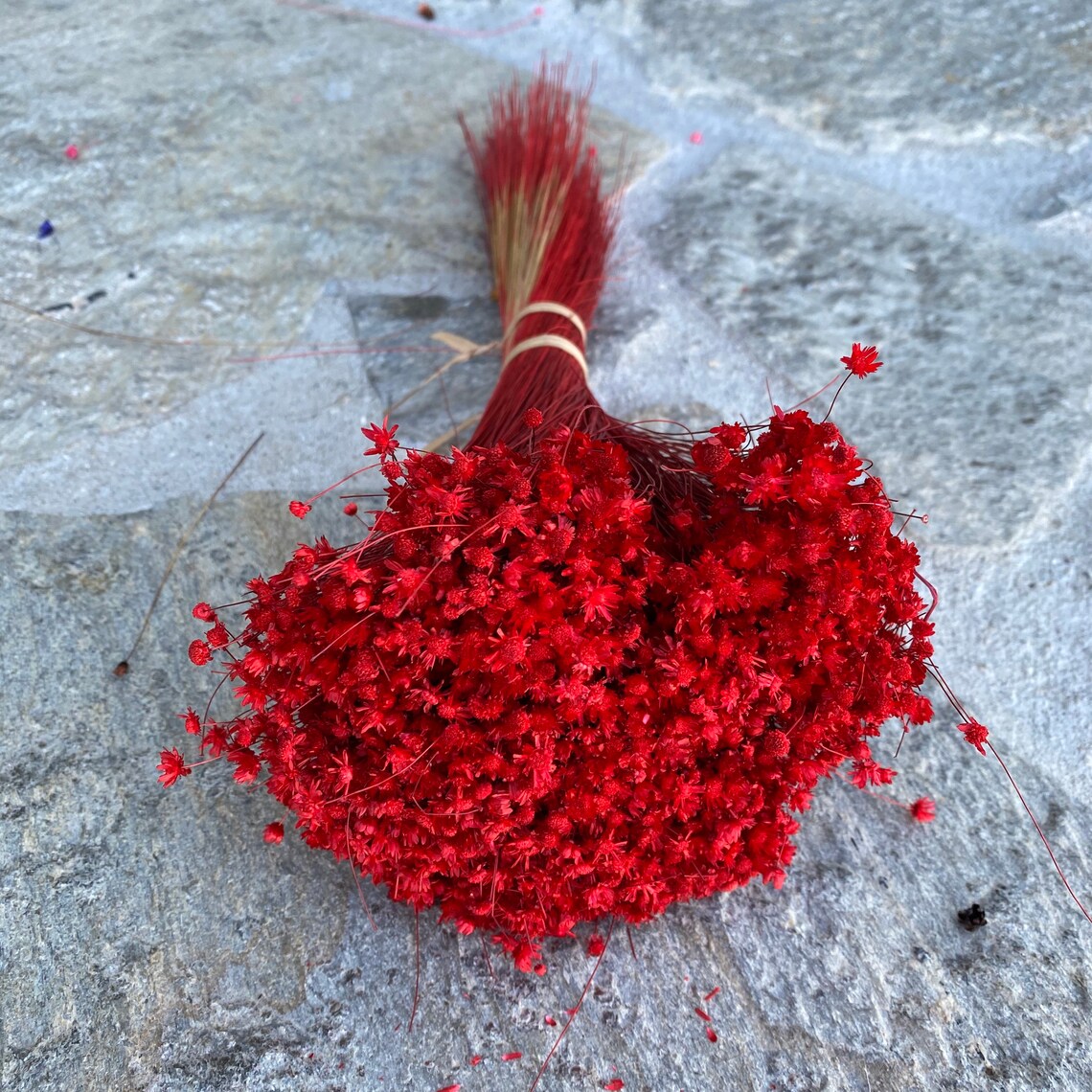 Dried Star Flowers Dried Flowers Wedding Flowers Flower Etsy