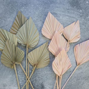 Palm spear, Dried Palm Leaf Fans, Palm leave, Palm Spear mini, Dried Flowers, sun palm leaves, wedding flowers, home decor.