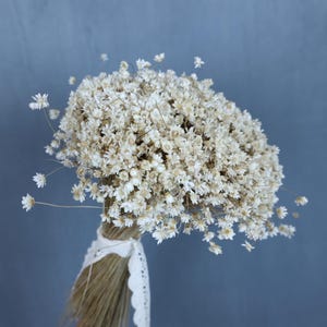 Dried star flowers, Dried Flowers, Wedding flowers, Flower bouquets, Home decor, Bridal Bouquets, Bridesmaid bouquets, gifts, Wedding gifts