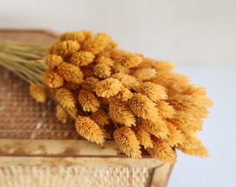 Dried Phalaris grass, Dried Flowers, Wedding flowers, Home decor