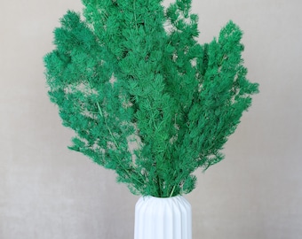 Preserved Ming Fern, Asparagus Fern, Dried Flowers, Ming Fern, Everlasting Flowers, Home Decor, Wedding Flowers, Dried Fern