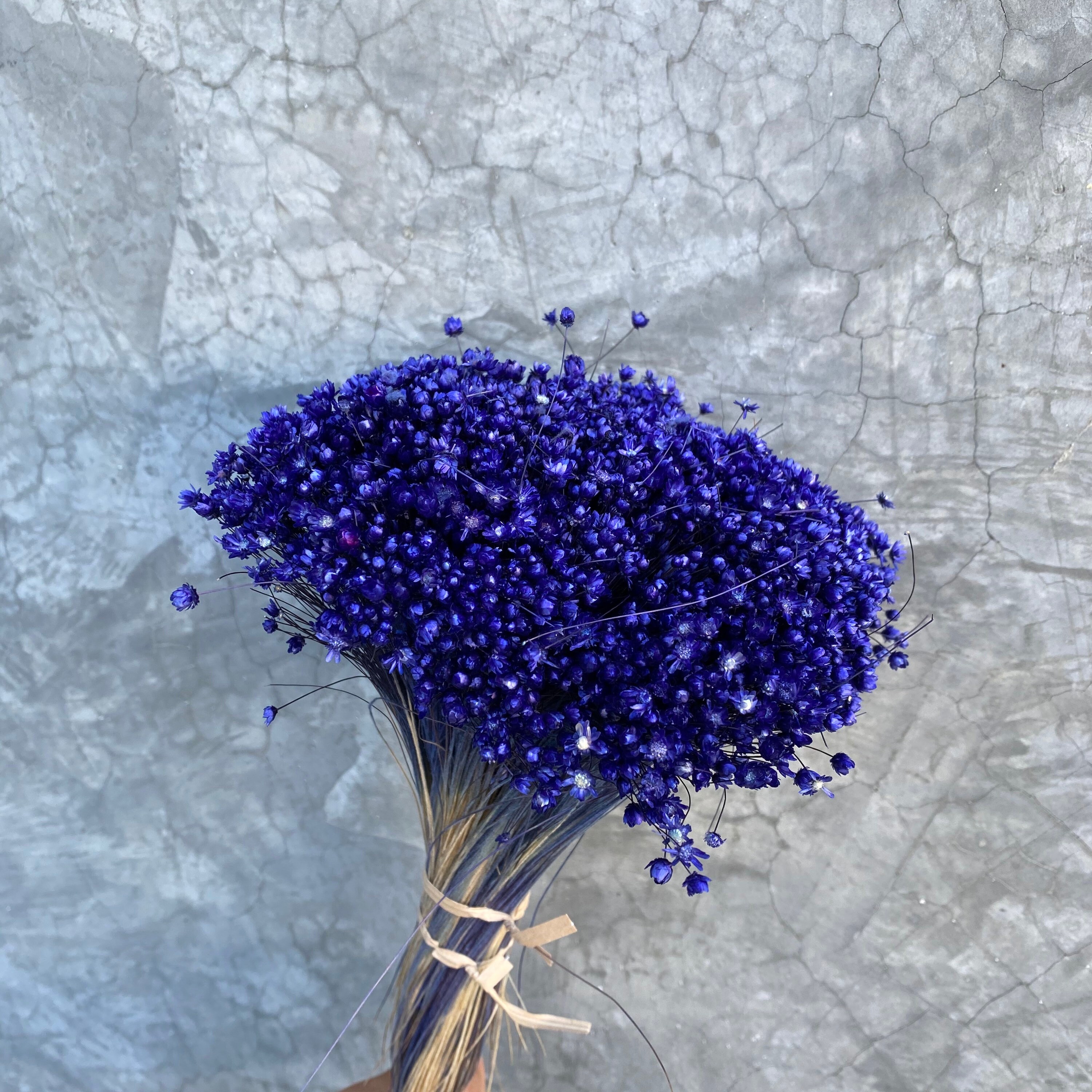 Dried Star Flowers Dried Flowers Wedding Flowers Flower Etsy