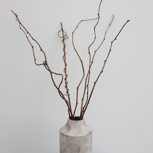 May include: A decorative vase with a textured, off-white finish, holding several brown, slender branches. The vase has a rounded shape and sits on a gray surface, creating a minimalist aesthetic.