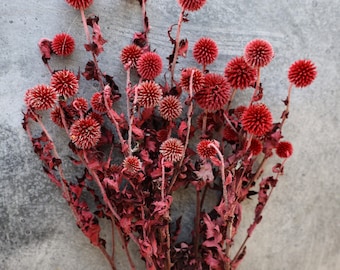 Dried Echinops Bundle, Natural Dried Bouquets, Dried Flowers, Dried flower arrangement, Wedding Flowers, Home decor, Echinops, Globe Thistle