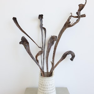 Natraj Stems, Dried Flowers, Wedding flowers, Home decor, wood decor
