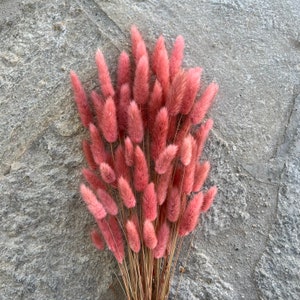Mauve Lagurus Flower Bushes, Dried Flowers,  Wedding Flowers, bunny tails flowers, Naturally Dried- 23”-29” Tall