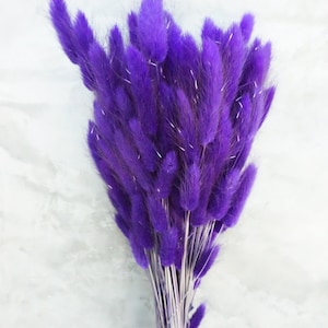 Lagurus Flower Bush, Dried Flowers, Wedding Flowers, Bunny tails flowers, Gift, Wedding Bouquet, Bridal Bouquet, Home Decor
