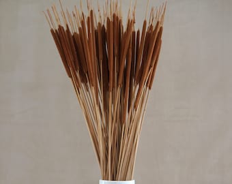 Dried pencil cattails, Dried Flowers, Wedding flowers, Home decor