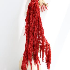 Red Amaranthus Hanging Preserved, Amaranthus, Hanging Amaranthus, Hanging Flowers, Wedding Decor, Home Decor, Artwork, Moss Wall, Gift