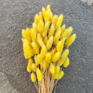 Baby Yellow Lagurus Flower Bush, Dried Flowers, Wedding Flowers, Bunny tails flowers, Gift, Wedding Bouquet, Bridal Bouquet, Home Decor