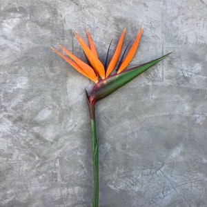 Bird of Paradise Flower, Artificial, Faux, Tropical Flower 36 Tall image 2