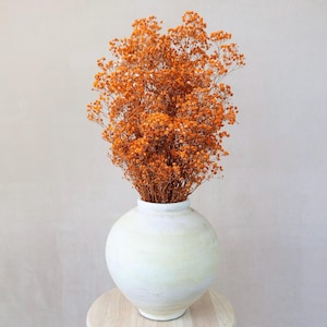 Dried Baby&#39;s Breath, Dried Gypsophila, Dried Flowers, Wedding flowers, Home decor, Gift, Flower Filler, Bridal Bouquet, Wedding Decor