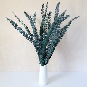 Preserved Eucalyptus Bush, Dried Flowers, Dried Eucalyptus, Wedding Flowers, Home Decor, Wedding Decor, Gift, Green Eucalyptus, Flowers