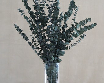 Preserved Eucalyptus Bush: Dried Greenery, Wedding Home Decor