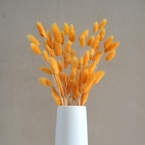 Baby Orange Lagurus Flower Bush, Dried Flowers, Wedding Flowers, Bunny tails flowers, Gift, Wedding Bouquet, Bridal Bouquet, Home Decor