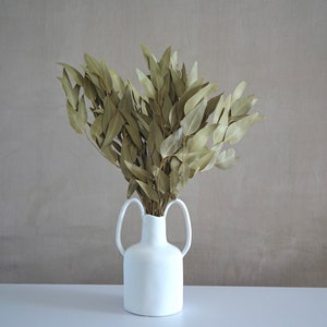 Dried Eucalyptus Willow Bush, Dried Flowers, eucalyptus Willow, eucalyptus, Home Decor, Thanksgiving Decor, Gift, Preserved Flowers