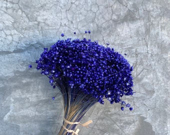 Dried star flowers, Dried Flowers, Wedding flowers, Flower bouquets, Home decor 12” tall