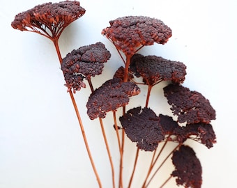 Chocolate Yarrow Dried Flower Bunch: Home Decor, Wedding Flowers