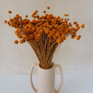 Floral Button, Dried Floral Button Natural, Dried Flowers, Preserved Flowers, Wedding flowers, Home decor, Gifts, Bridal Bouquets