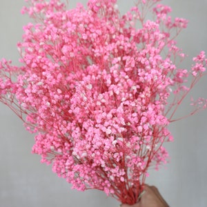 Dried Baby&#39;s Breath, Dried Gypsophila, Dried Flowers, Wedding flowers, Home decor, Gift, Flower Filler, Bridal Bouquet, Wedding Decor