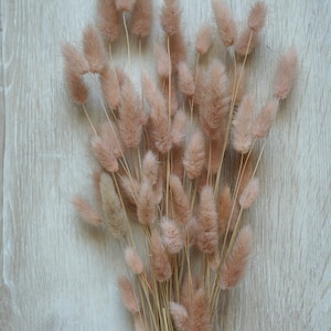 Lagurus Flower Bush, Dried Flowers, Wedding Flowers, Bunny tails flowers, Gift, Wedding Bouquet, Bridal Bouquet, Home Decor, Grass