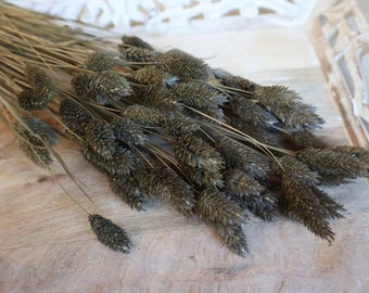 May include: A bundle of dried, textured, green-brown ornamental grass. The dried flowers have a dense, cone-like shape, and the stems are thin and light brown. The arrangement is displayed on a light-colored wooden surface.