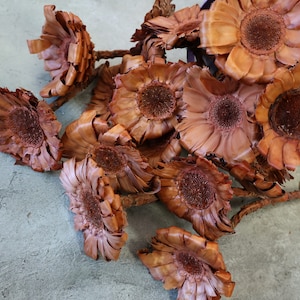 Imperfect Natural Barbigera Flowers, Dried Flowers, Wedding flowers, Home decor