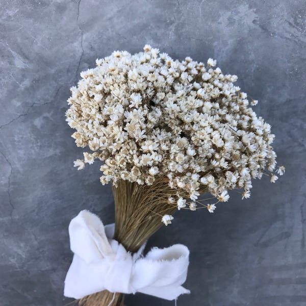 Dried star flowers, Dried Flowers, Wedding flowers, Flower bouquets, Home decor, Bridal Bouquets, Bridesmaid bouquets, gifts, Wedding gifts