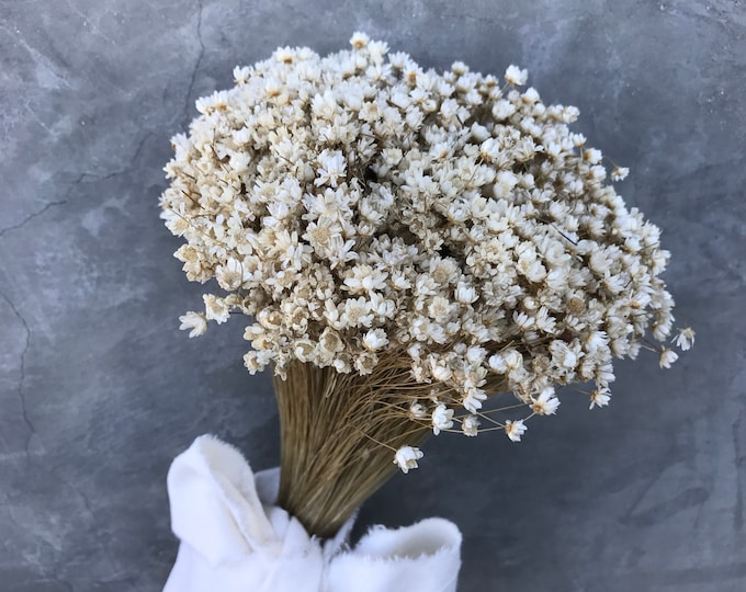 Dried Star Flowers Dried Flowers Wedding Flowers Flower Etsy