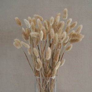 Natural Lagurus Flower Bush, Dried Flowers, Wedding Flowers, Bunny tails flowers, Gift, Wedding Bouquet, Bridal Bouquet, Home Decor
