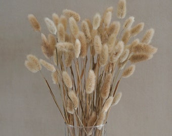Natural Lagurus Flower Bush, Dried Flowers, Wedding Flowers, Bunny tails flowers, Gift, Wedding Bouquet, Bridal Bouquet, Home Decor