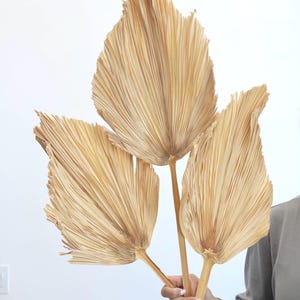 Set of 3 Large Palm Leaves, Dried Palms, Sun palm leaves, Wedding flowers, Home decor, Boho flowers, Boho Wedding, Palm leaves, Leaf, Gift,