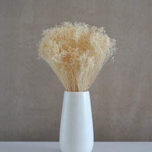 Dried Baby's Breath, Dried Gypsophila Bloom, Dried Flowers, Wedding flowers, Home decor, Baby breath