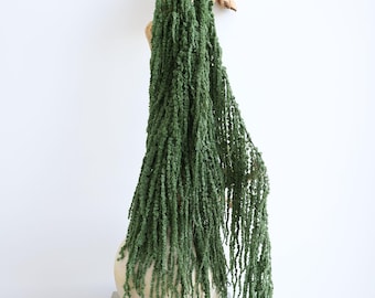 Green Preserved Amarathus