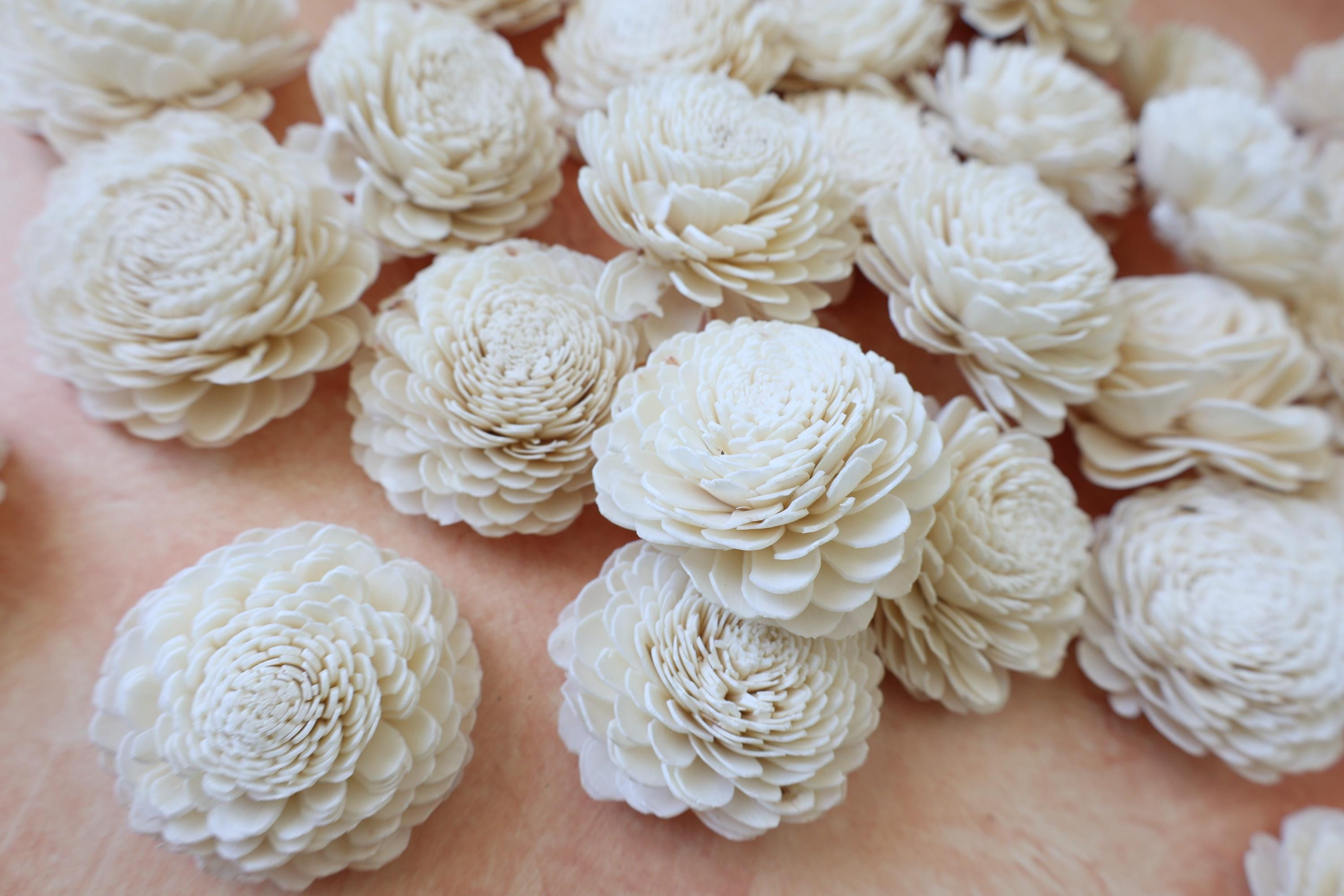 30 Sola Wood Flowers: DIY Craft & Wedding Decor - Etsy Canada