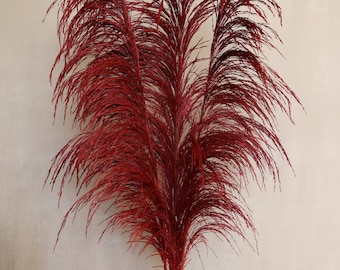 Dyed Common Reed Grass, home decor, wedding decor, gift