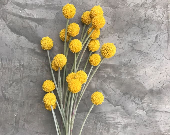 Billy Button Spray Faux Craspedia Faux Billy Balls Silk Etsy