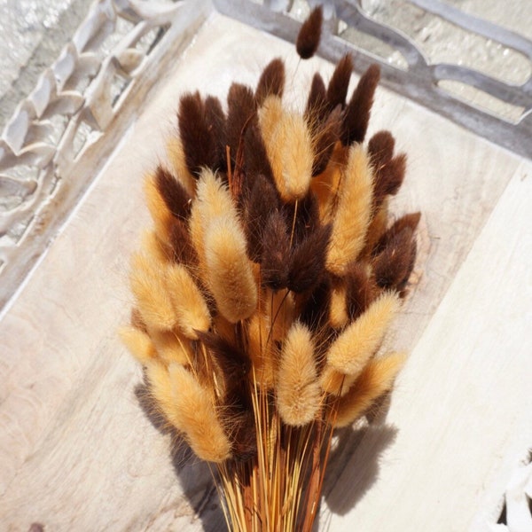 Lagurus Flower Bush, Dried Flowers, Wedding Flowers, Bunny tails flowers, Gift, Wedding Bouquet, Bridal Bouquet, Home Decor