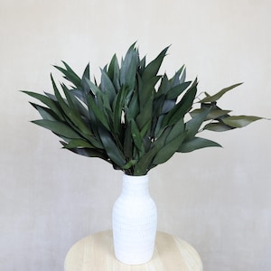 Preserved Eucalyptus Willow Bush, Dried Flowers, eucalyptus Willow, eucalyptus, Home Decor, Thanksgiving Decor, Gift, Preserved Flowers