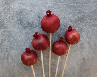 Dried Pomegranate Stems