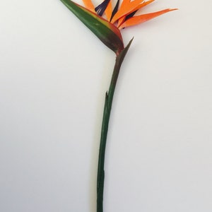 Bird of Paradise Flower, Artificial, Faux, Tropical Flower 36 Tall image 5