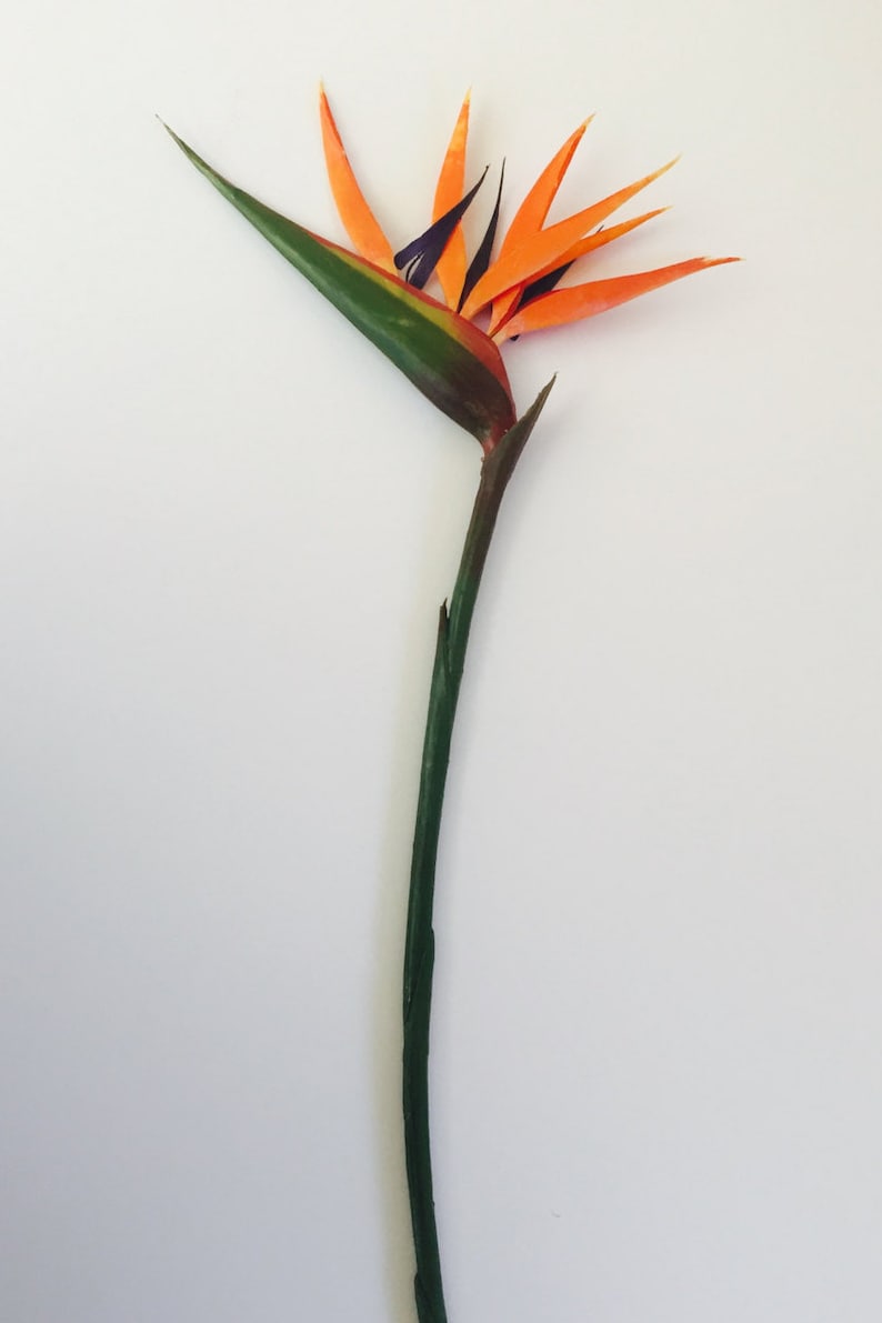 Bird of Paradise Flower, Artificial, Faux, Tropical Flower 36 Tall image 5
