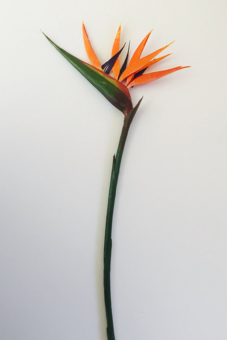 Bird of Paradise Flower Artificial Faux Tropical Flower Etsy