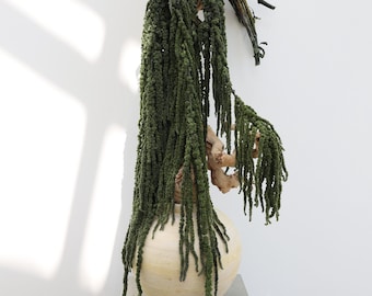 Green Preserved Amaranthus