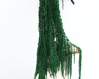 Forest Green Preserved Amaranthus
