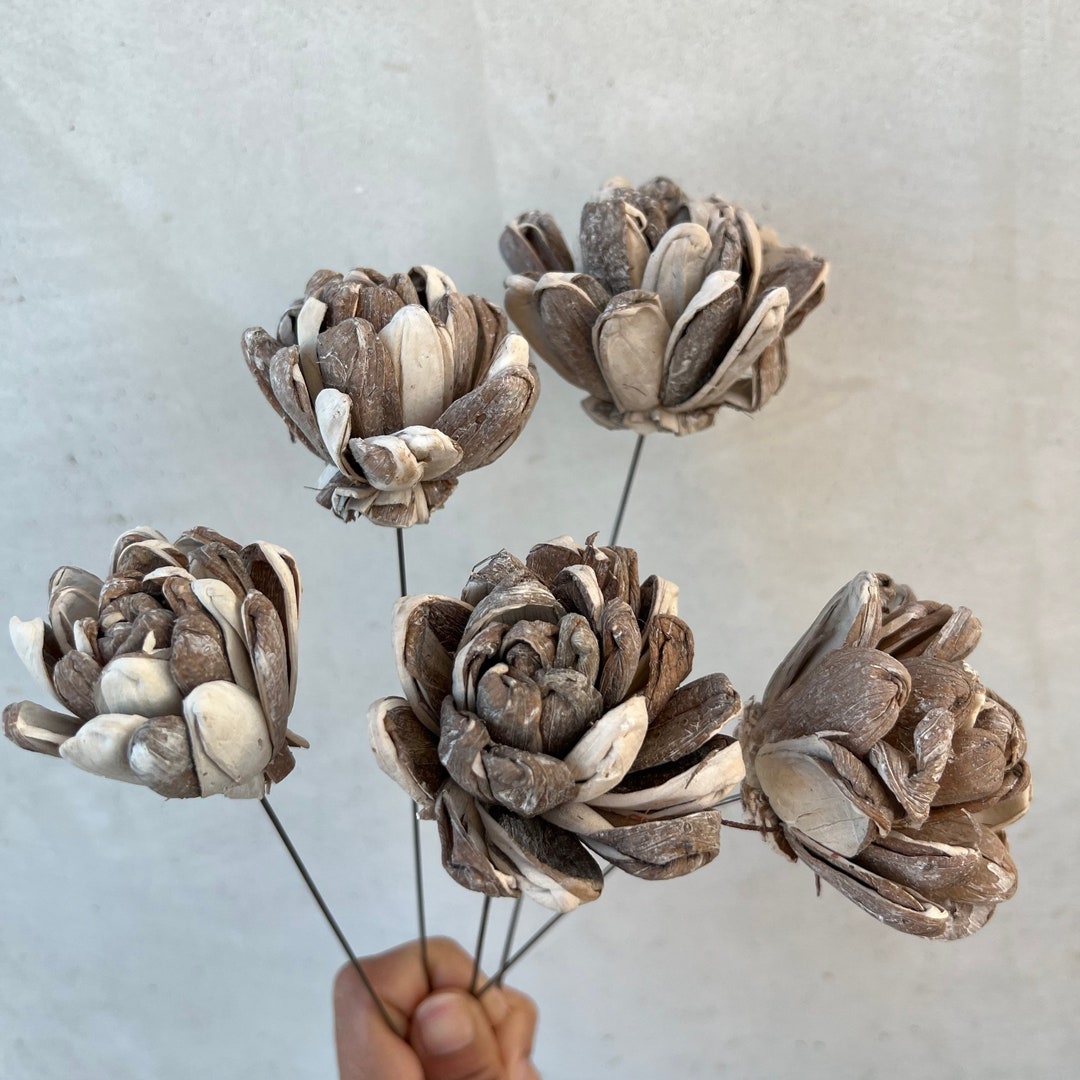 Sola Gerbera Flowers Sola Stems Sola Wood Flowers Sola Etsy