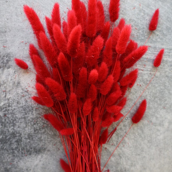 Red Lagurus Flower Bush, Dried Flowers,  Wedding Flowers, bunny tails flowers, Naturally Dried, Bunny tail Flowers, Bunny tail grass, gift