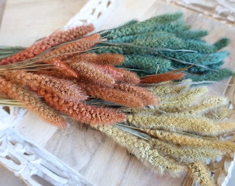 May include: A bunch of dried grasses in shades of green, brown, and beige. The grasses are arranged in a fan shape and have a soft, feathery texture.