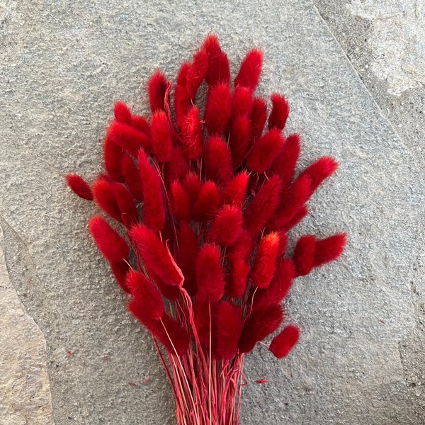 Lagurus Flower Bush, Dried Flowers, Wedding Flowers, Bunny tails flowers, Gift, Wedding Bouquet, Bridal Bouquet, Home Decor, Grass