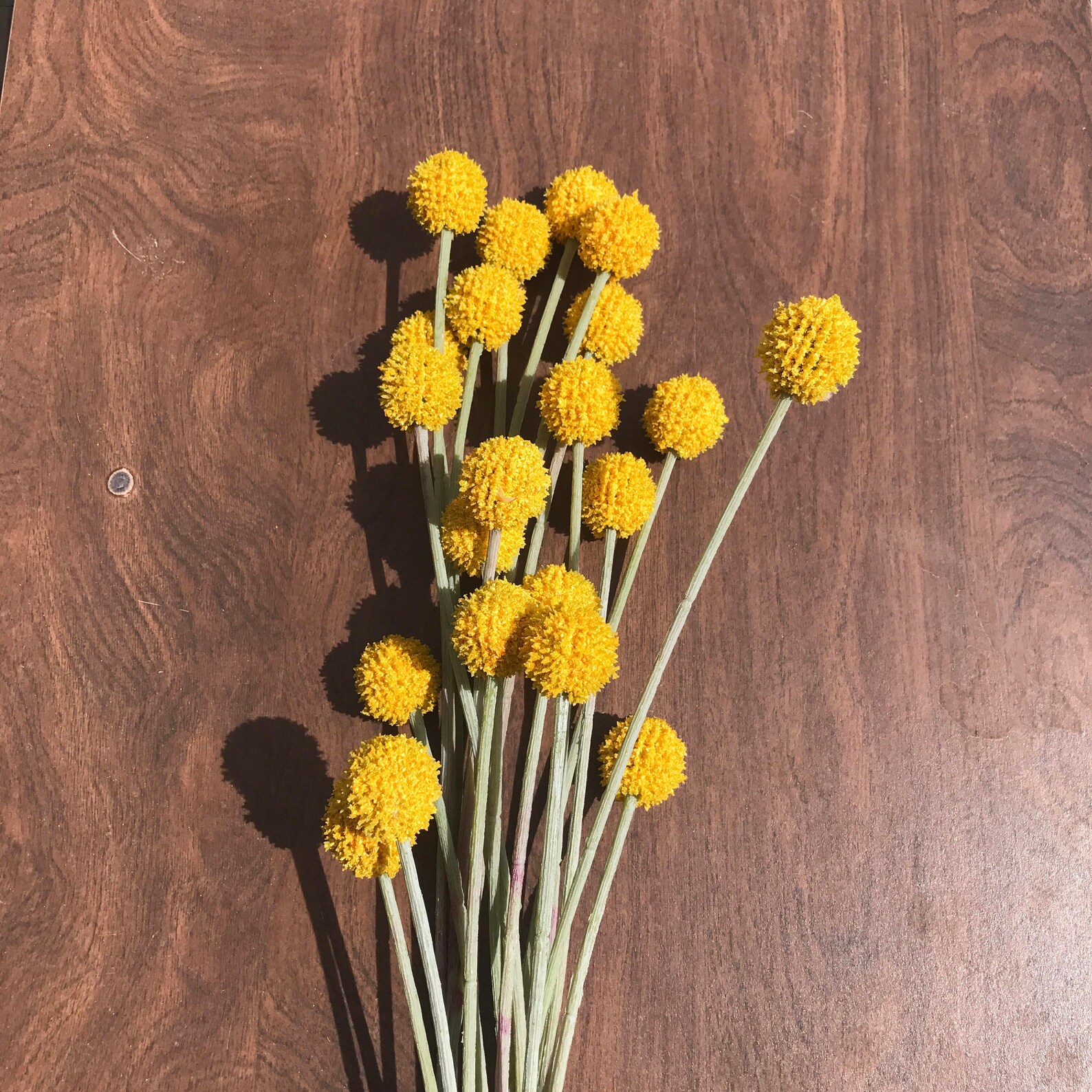 Billy Button Spray Faux Craspedia Faux Billy Balls Silk Etsy